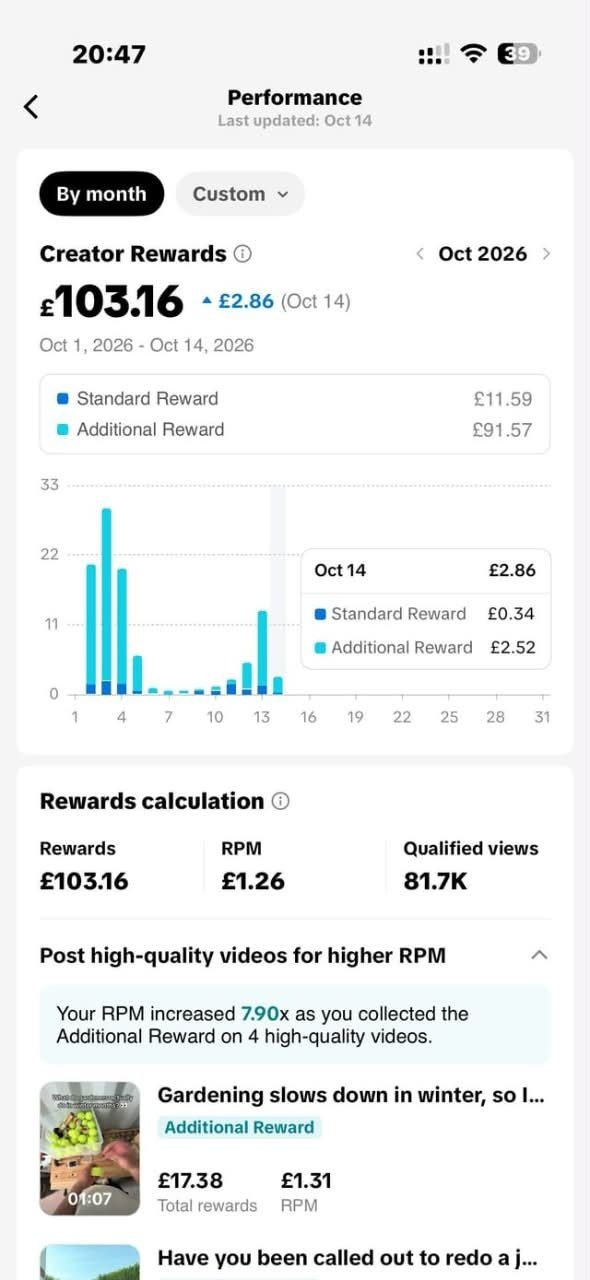 Creator earnings and analytics screenshot 2, shared by the authors brother